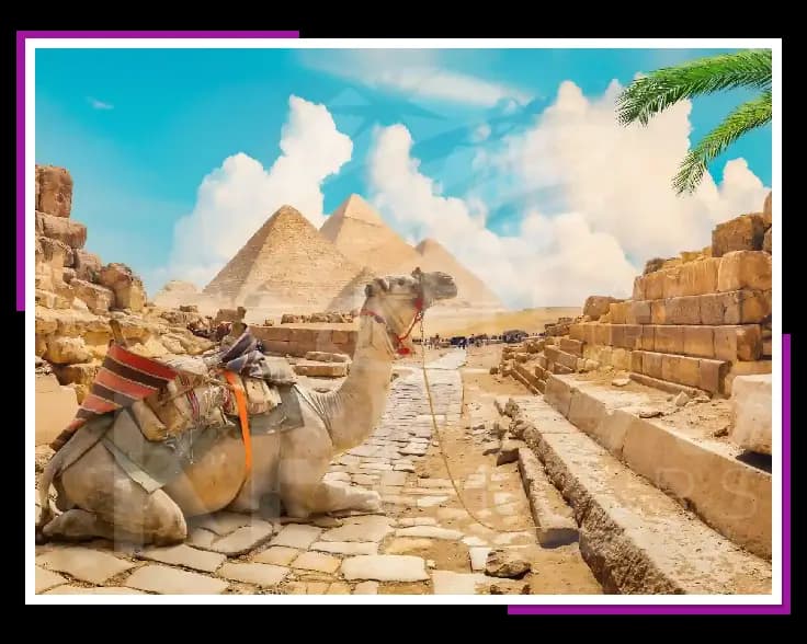 افضل شركة سياحة فى مصر