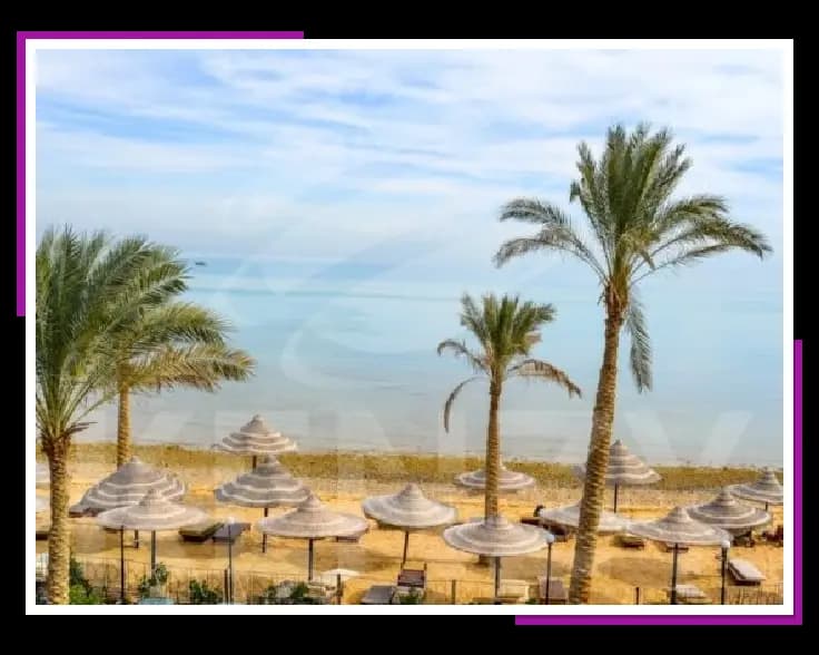 حجز رحلات العين السخنة