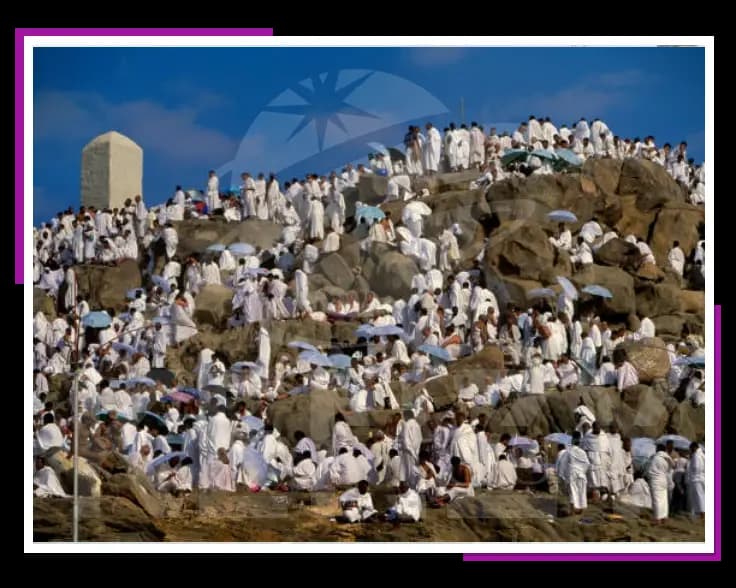 سعر الحج الاقتصادي