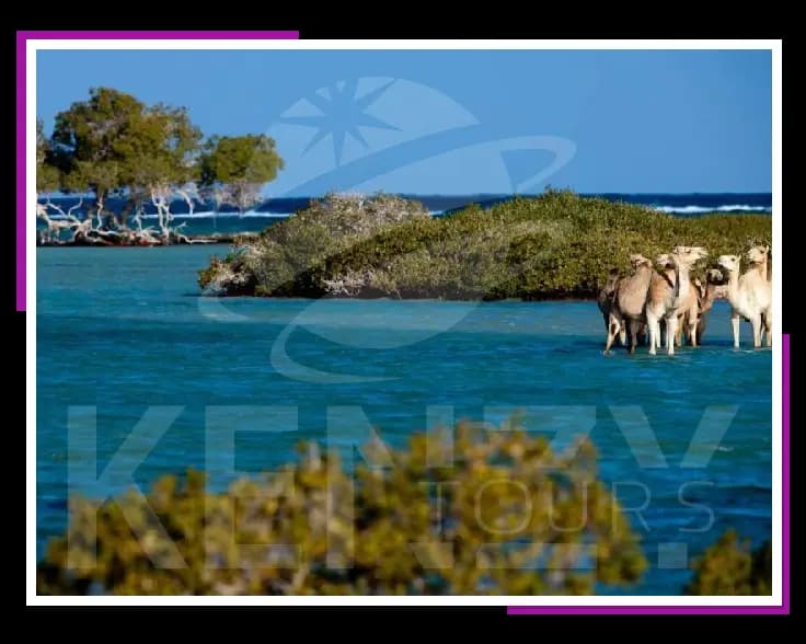 أجمل معالم مرسى علم السياحية