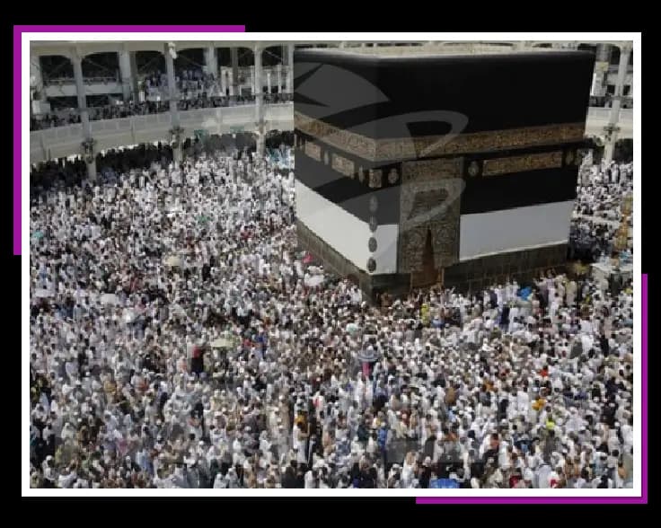 عمرة فاخرة 5 نجوم مولد النبوي الشريف