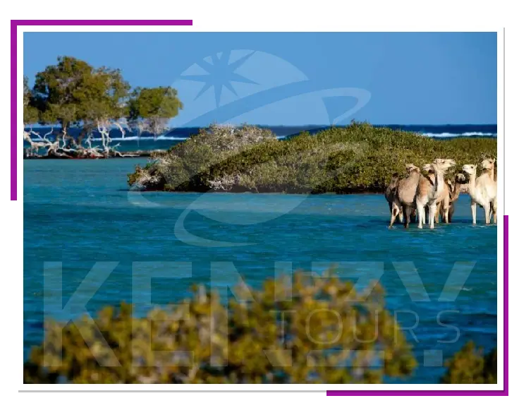 أجمل معالم مرسى علم السياحية